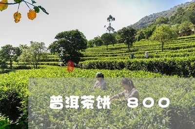 普洱茶饼 800/2023041007258